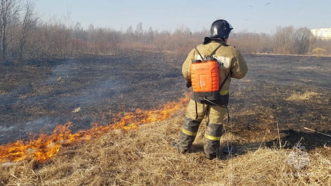 Поджоги сухой травы в Ленобласти были зафиксированы девять раз