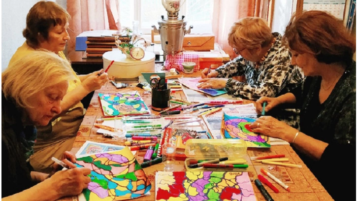 В Гатчинском районе организовали социальный проект помощи пожилым людям