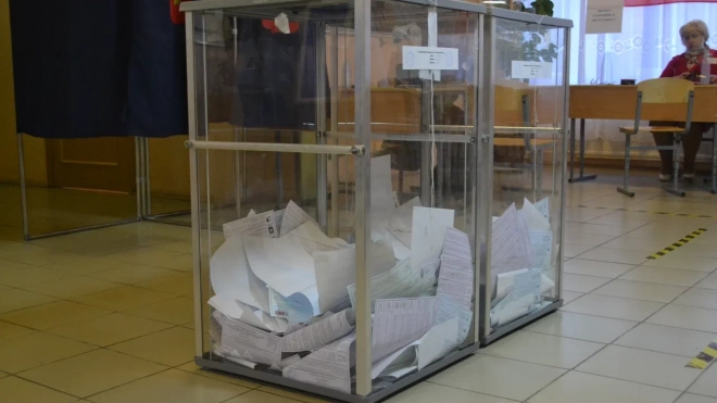 В Петербурге явка на муниципальных довыборах к 10 часам составила 1,11%
