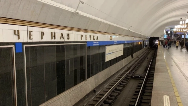 В метро Петербурга на "синей" ветке движение поездов останавливали из-за упавшего на рельсы самоката