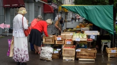 В Санкт-Петербурге самозанятым разрешат торговать с лотка