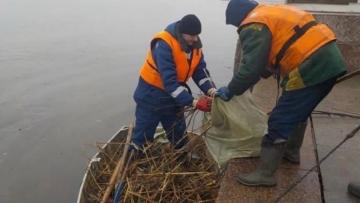 Один из самых загрязненных участков Невы привели в порядок