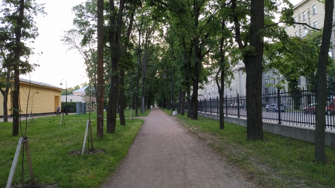 Садово-парковые предприятия Петербурга готовятся к штормовому ветру