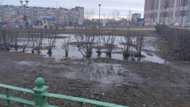 Парк Боевого Братства в Невском районе Петербурга превратился в болотное царство