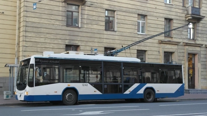 Пятилетний малыш пострадал при падении в троллейбусе на Невском проспекте