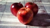 Россельхознадзор исключает рост цен на яблоки