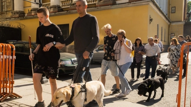 Петербургскому центру для собак-поводырей удалось спасти тренировочный троллейбус от вандалов