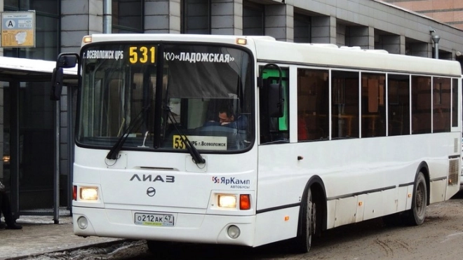 Ленинградские автобусы возвращаются к метро "Ладожская" 