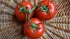 Россельхознадзор продолжает ослаблять эмбарго на ввоз помидоров из Азербайджана