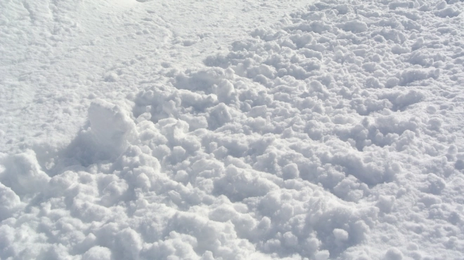 В Ленинградской области в субботу обещают тепло и снегопад