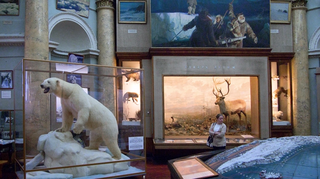 Возле петербургского музея Арктики и Антарктики создадут общественное пространство