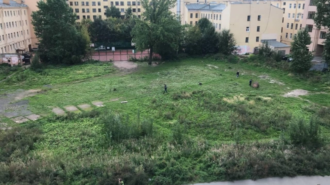 На Петроградской стороне выкосили Общественный сад