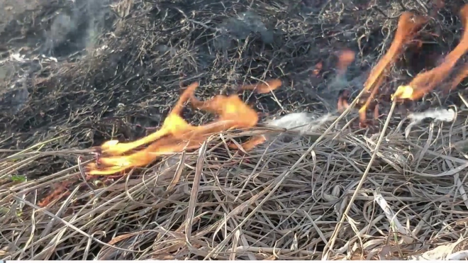 Крупный пожар в Хинганском заповеднике в Приамурье локализовали