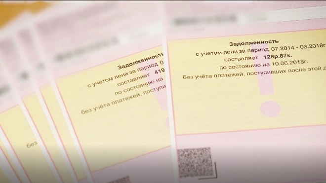 Первые единые квитанции за ЖКХ в Петербурге появятся в ноябре