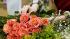 Поставки цветов в Петербург и Ленобласть сократился в 5 раз за прошлый год