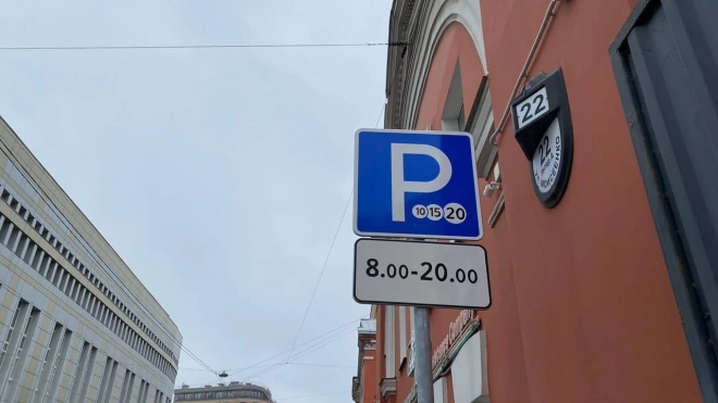 Вместо парконов в центре Петербурга появятся камеры для оплаты парковки