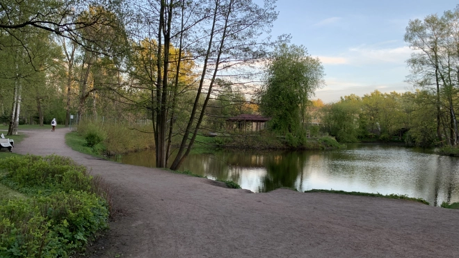 В Петербурге начинается похолодание 