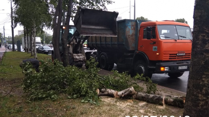 Дорожники оперативно ликвидируют с дорог и тротуаров упавшие от ветра деревья Дорожники оперативно ликвидируют с дорог и тротуаров упавшие от ветра деревья