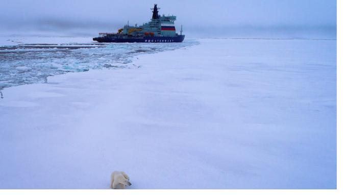 Смольный: Петербург может стать координирующим центром освоения Арктики