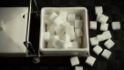 В РФ введен временный запрет на экспорт сахара