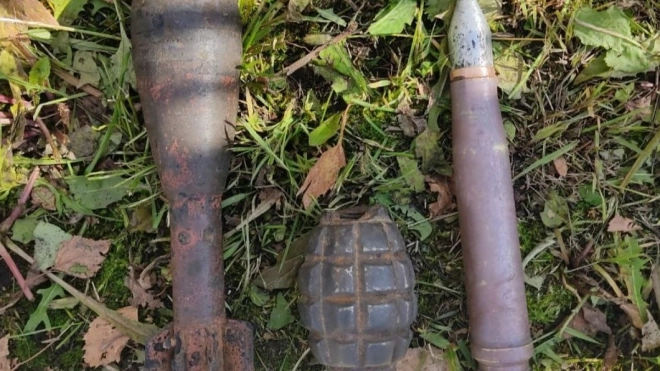 Взрывотехники Росгвардии уничтожили боеприпасы, найденные в Колпино