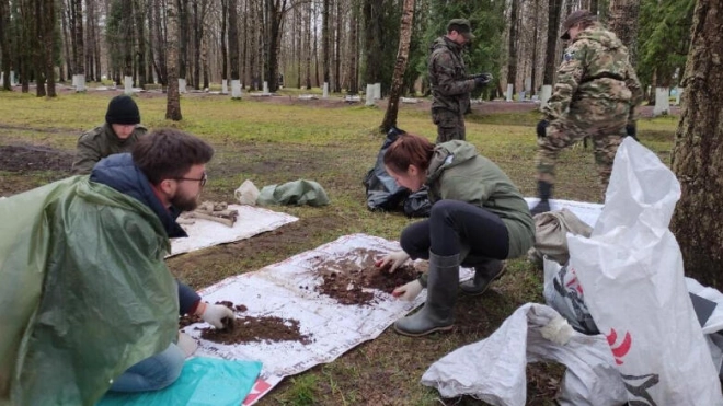 С конца апреля на территории Петербурга найдены останки 49 красноармейцев 