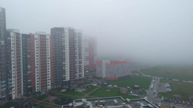 Густой туман покрыл улицы Петербурга после ночного ливня