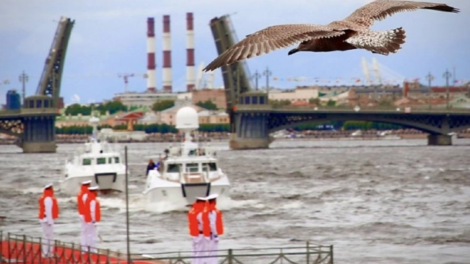 В ближайшие недели пройдут репетиции Главного военно-морского парада в Петербурге