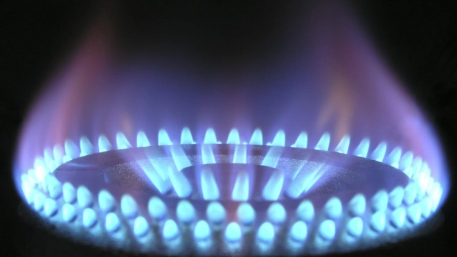 Обеспечивающие петербуржцев сжиженным газом компании получат субсидии