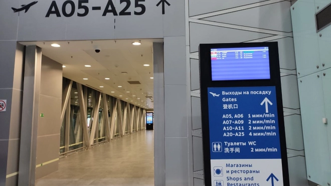 Новый терминал в Пулково начнут строить после восстановления пассажиропотока