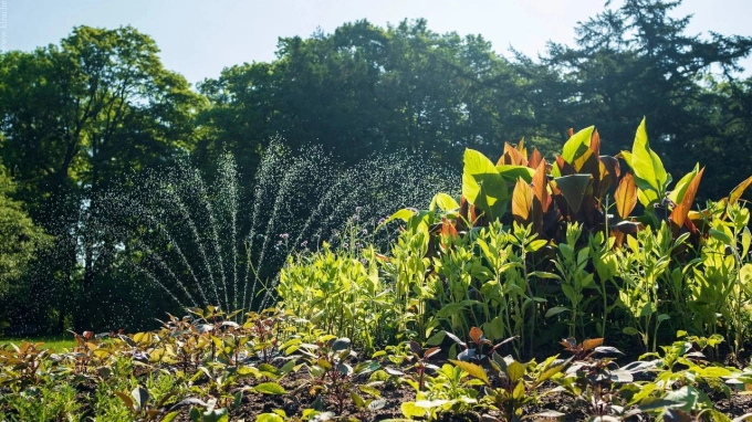 В Ботаническом саду опровергли информацию о новых льготах для пенсионеров