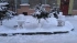 Снежные фигуры петербуржца Владимира Кузьмина снова появились Ланском шоссе