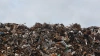 Нарушителей перевозки отходов в Ленобласти стало меньше ...