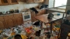 Около сотни кошек жили в арендованной квартире в Екатери...