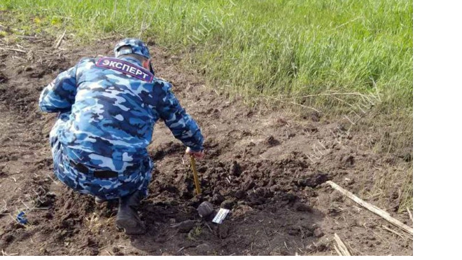 МВД Приднестровья подтвердило данные о четырёх взрывах у села Воронково на украинской границе 