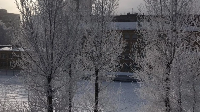 В ближайшие три ночи в Ленобласти ожидается до -31 градуса