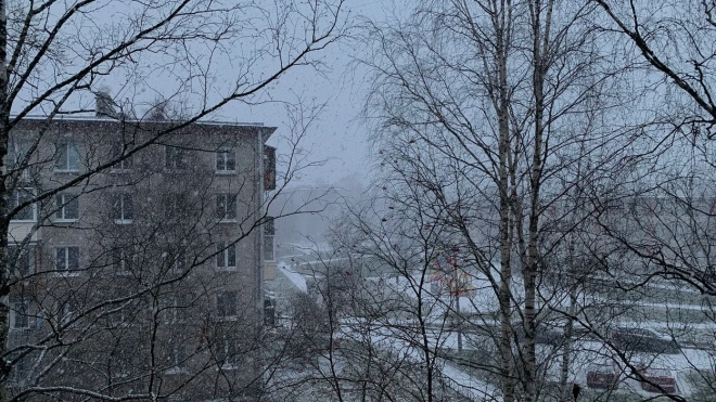 Жителей Ленобласти предупредили о мокром снеге