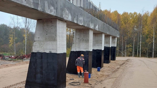 Строительство моста через Охту продолжается в Ленобласти