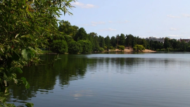 Благоустройство территории вокруг Суздальских озер планируют завершить в октябре