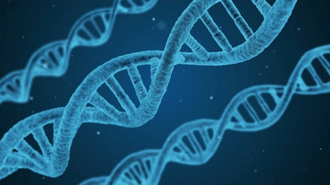 Ученые выяснили, что геном современного человека уникален на 1,5-7%