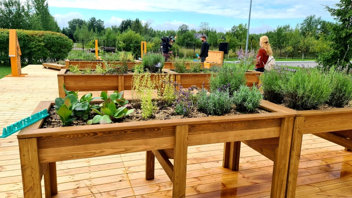 В Петергофе открылся первый сенсорный сад для реабилитации особенных детей