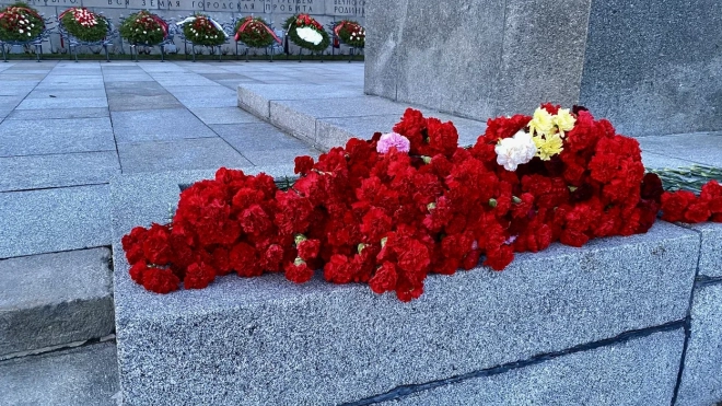 Делегация из Петербурга возложила цветы к мемориальному комплексу "Героям Сталинградской битвы"