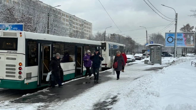 В Петербурге количество водителей-мигрантов выросло на 16% за год