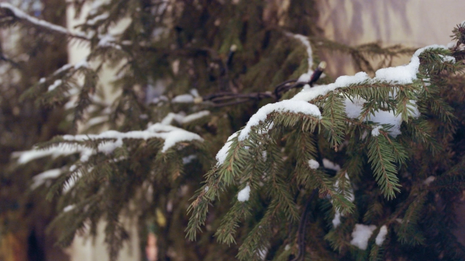 Ленобласть в преддверии выходных ждут снег и похолодание до -20 градусов