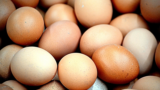 В Ленобласти объяснили рост цен на яйца политикой ретейлеров