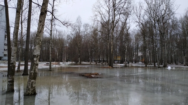 Антициклон сохранит малооблачную и сухую погоду в Петербурге 10 марта