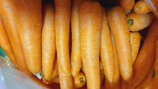 В Петербург привезли 135 тонн египетской моркови