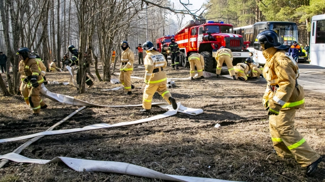 В Петербурге проходят учения по подготовке к пожароопасному сезону