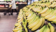 В России цены на бананы установили пятилетний рекорд 