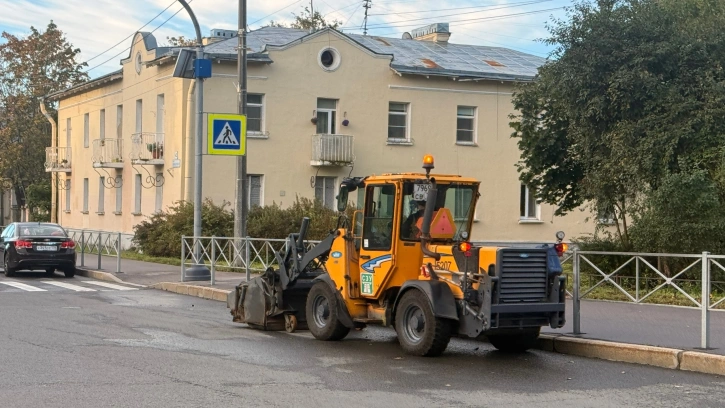 Петербург перешел в режим осенней уборки
